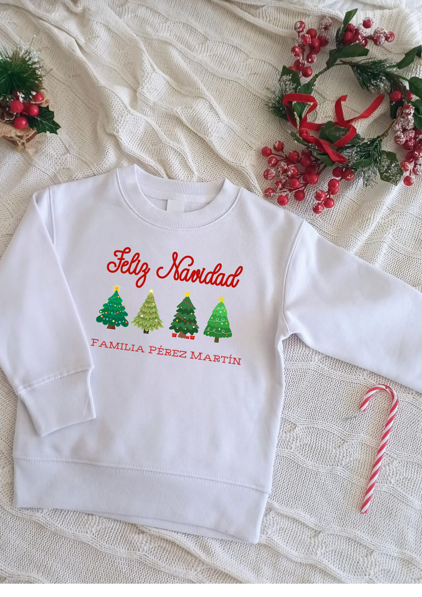 Pack Sudaderas Familia Navidad desde 18€